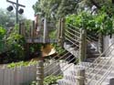 port-orleans-riverside-80b
