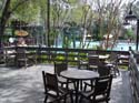 port-orleans-riverside-83