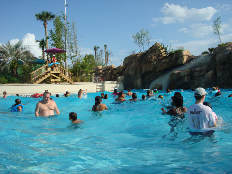DSC06826a