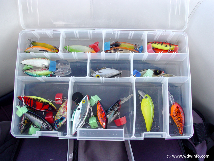 Fishing-14