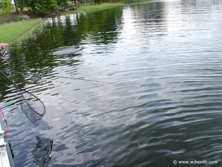 Fishing-19