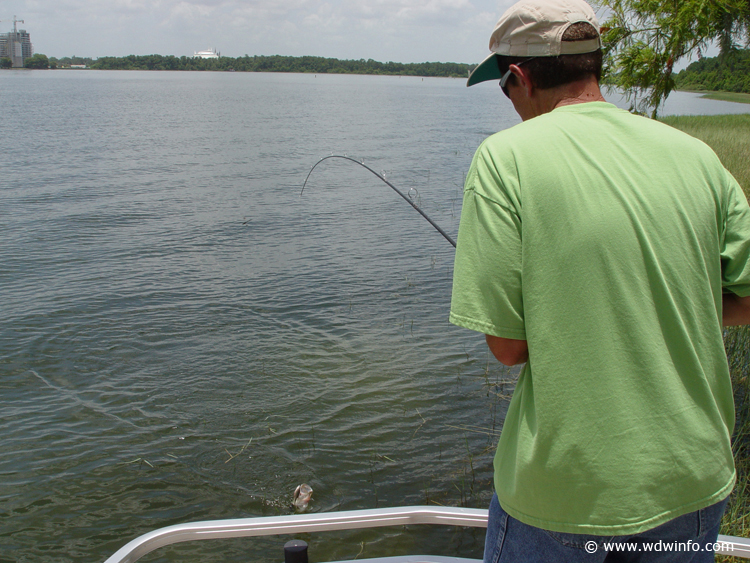 Fishing-21