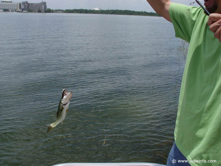 Fishing-22