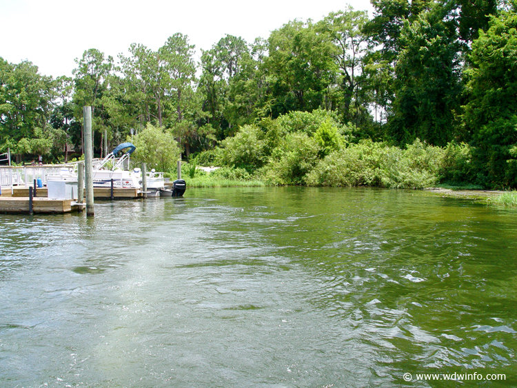 Fishing-43