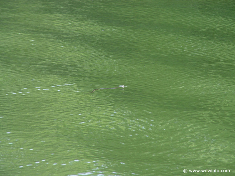 Fishing-48