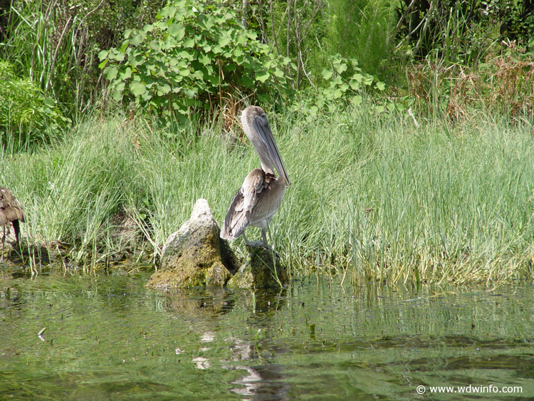 Fishing-54