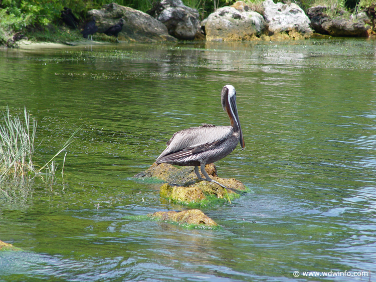 Fishing-55