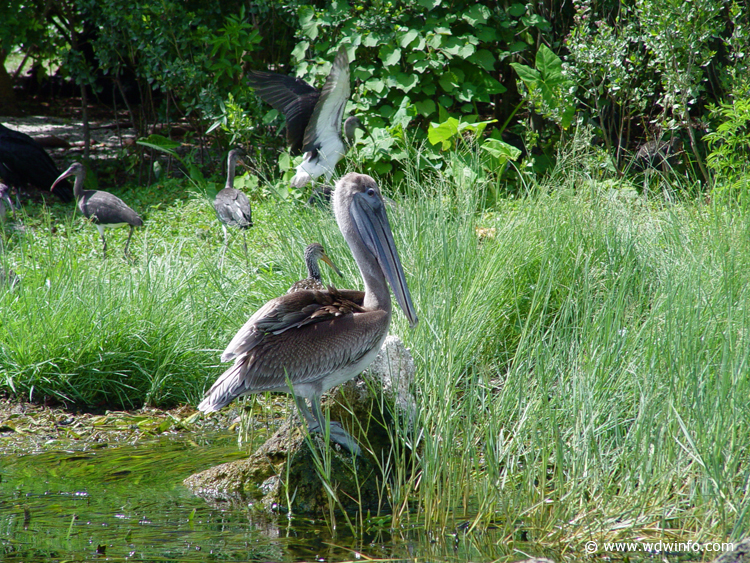 Fishing-56