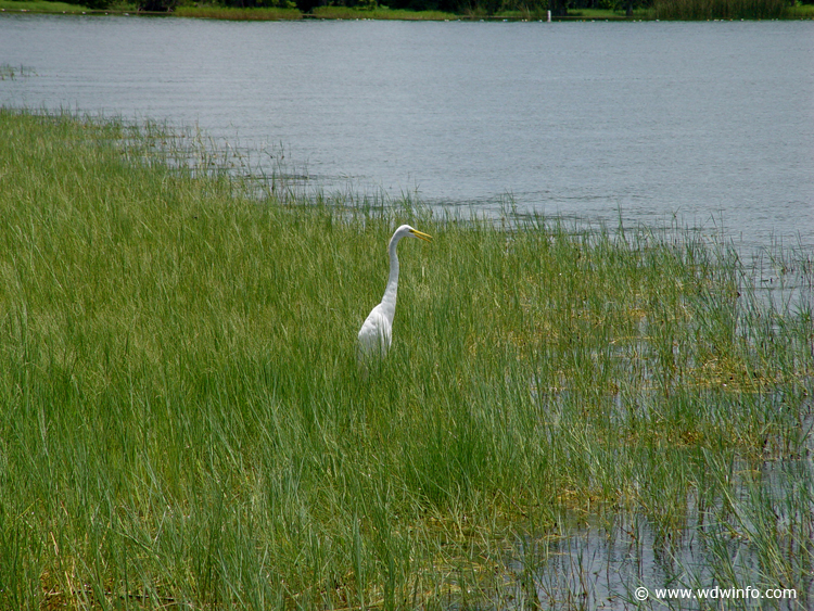 Fishing-57