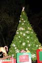 IMG_9696b