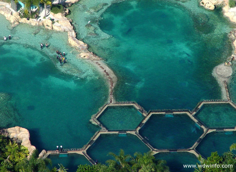 Discovery-Cove_02