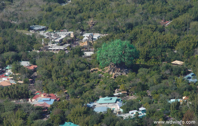 Disney_Animal-Kingdom_01