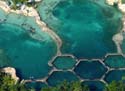 Discovery-Cove_02