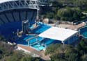 Sea-World_03
