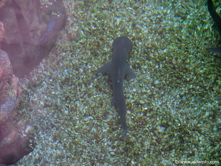 DSC01743c
