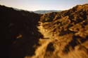 Soaring Ride Desert photo _1