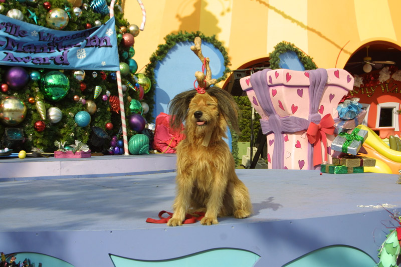 Grinchmasimg_9364