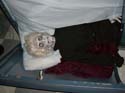 DSC01871-Dead-Silence