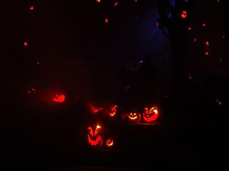 DSC07490