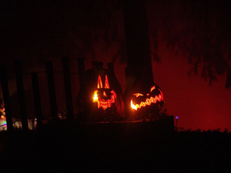 DSC07495