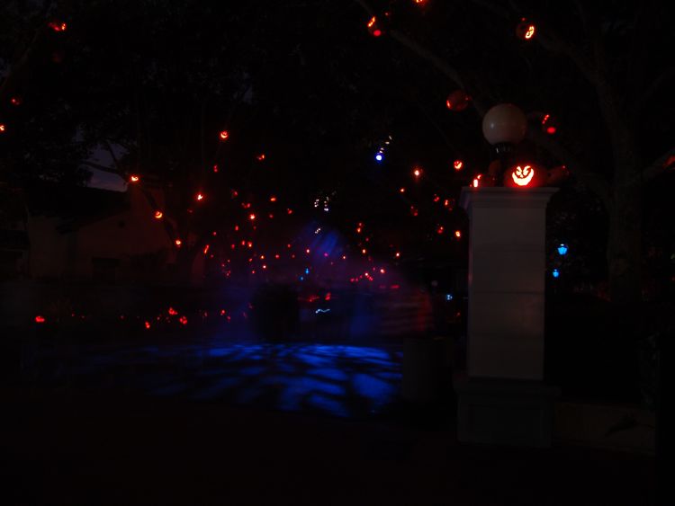 DSC07519