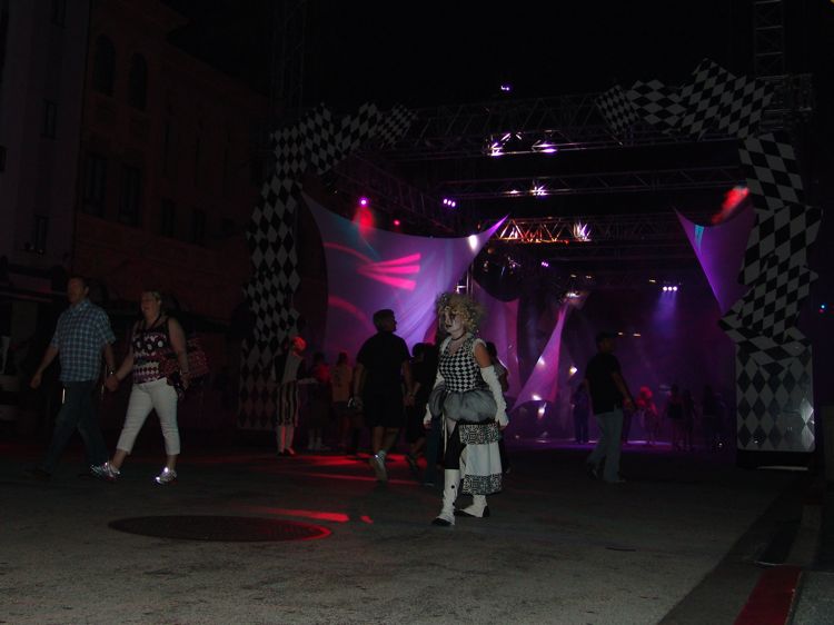 DSC07584