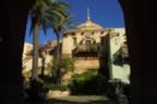 IMG_0276.jpg (84kb)