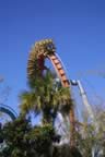IMG_0280.jpg (102kb)