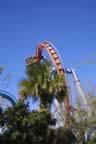 IMG_0282.jpg (101kb)