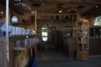 IMG_0290.jpg (78kb)