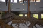 IMG_0338.jpg (63kb)