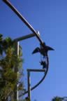 IMG_0361.jpg (61kb)