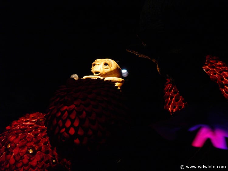 ET_05