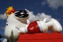 Universal-Holiday21