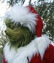 Universal-Holiday36