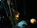95_E.T. Adventure