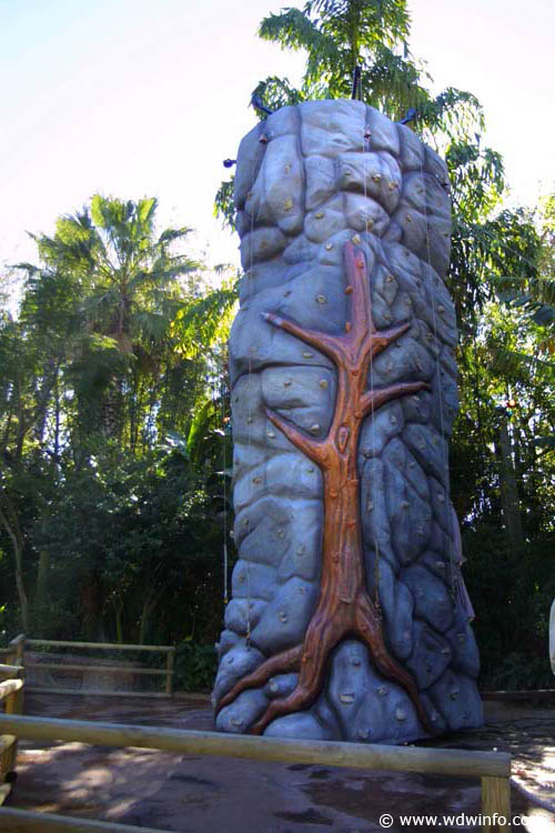 23-Rock Climbing