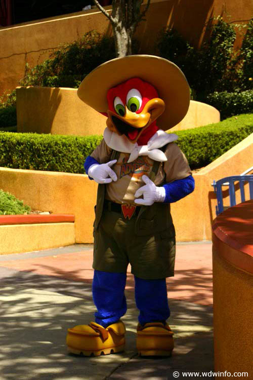 02-Woodywood Pecker