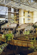 Walt Disney and Mickey Mouse Theme Parks