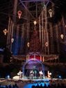 Disney Holidays