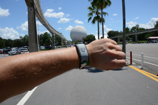 Pros and Cons for the Local Walt Disney World Fan The DIS DSC_6677-599x400
