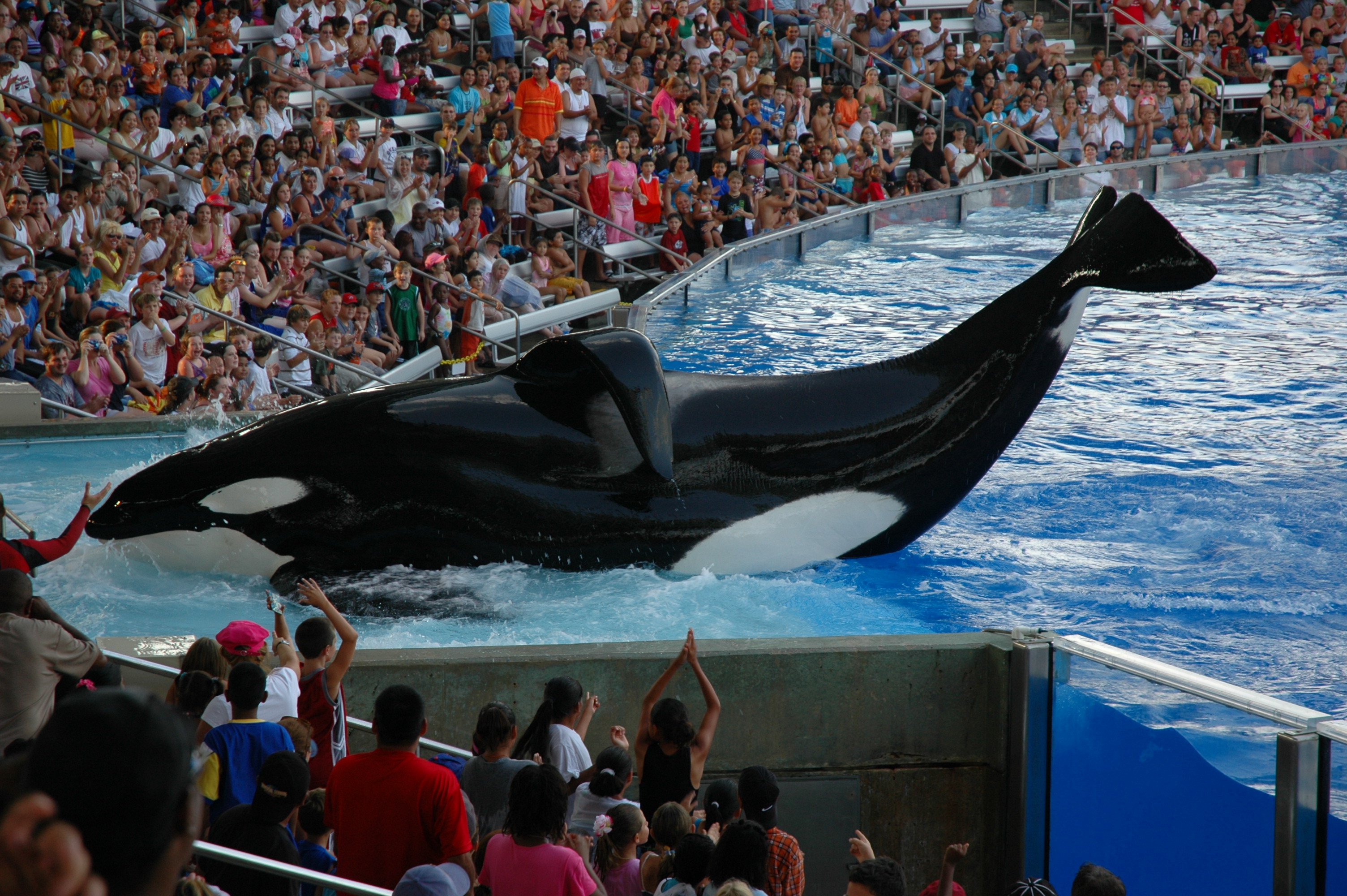 SeaWorld shareholder lawsuit will proceed