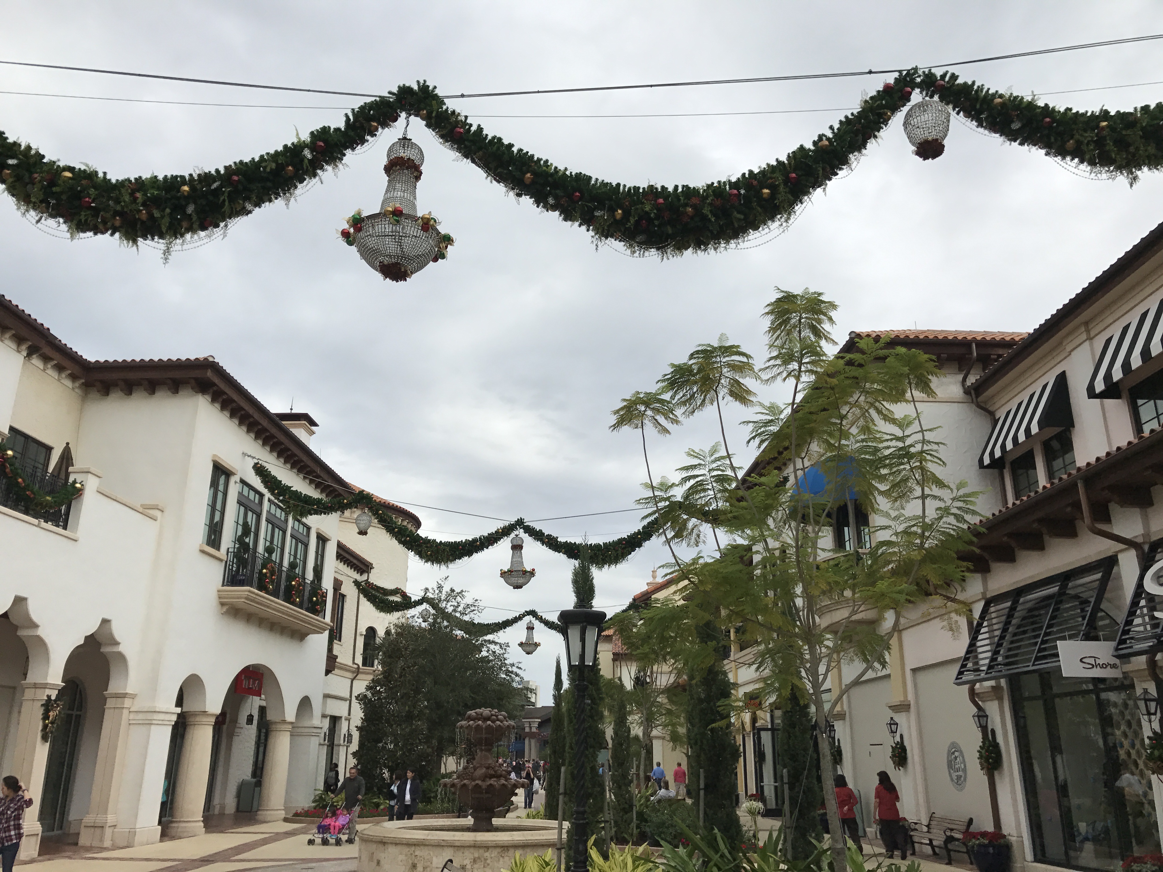 My Day at Disney – November 15th, 2016 IMG_0941 IMG_0941