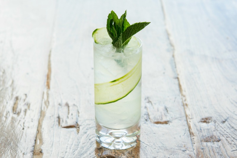 Backyard Fizz 1
