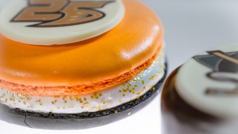 AnaheimDucksDay04