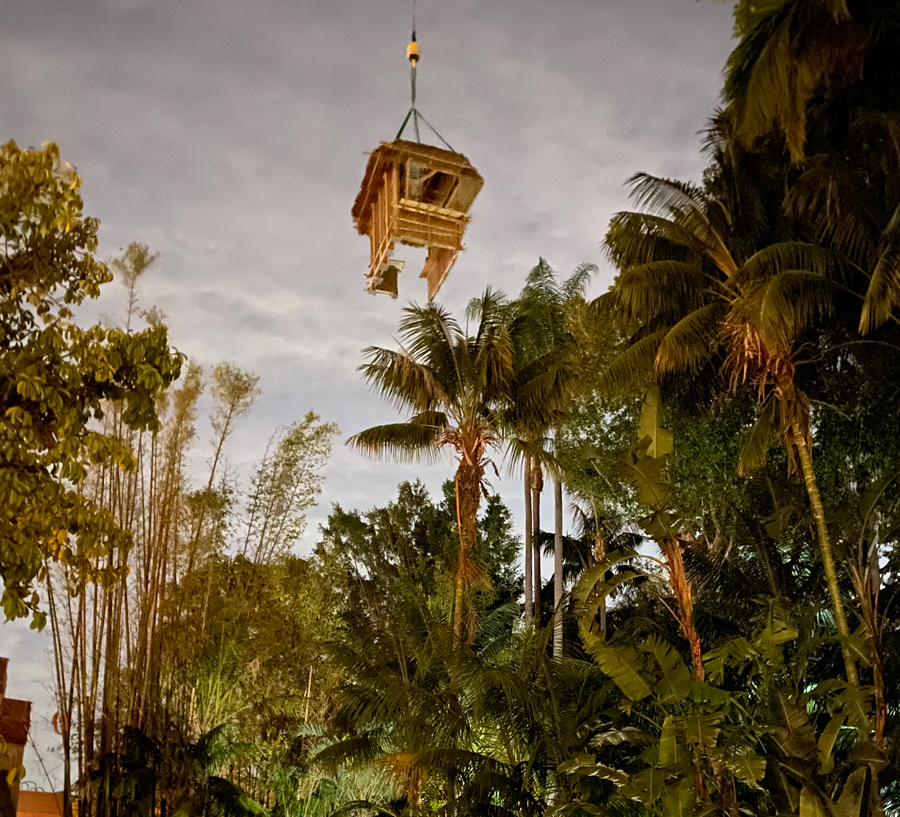 Disney Shares Details on New Faces Coming to Jungle Cruise Attraction jungle-cruise-gift-shop