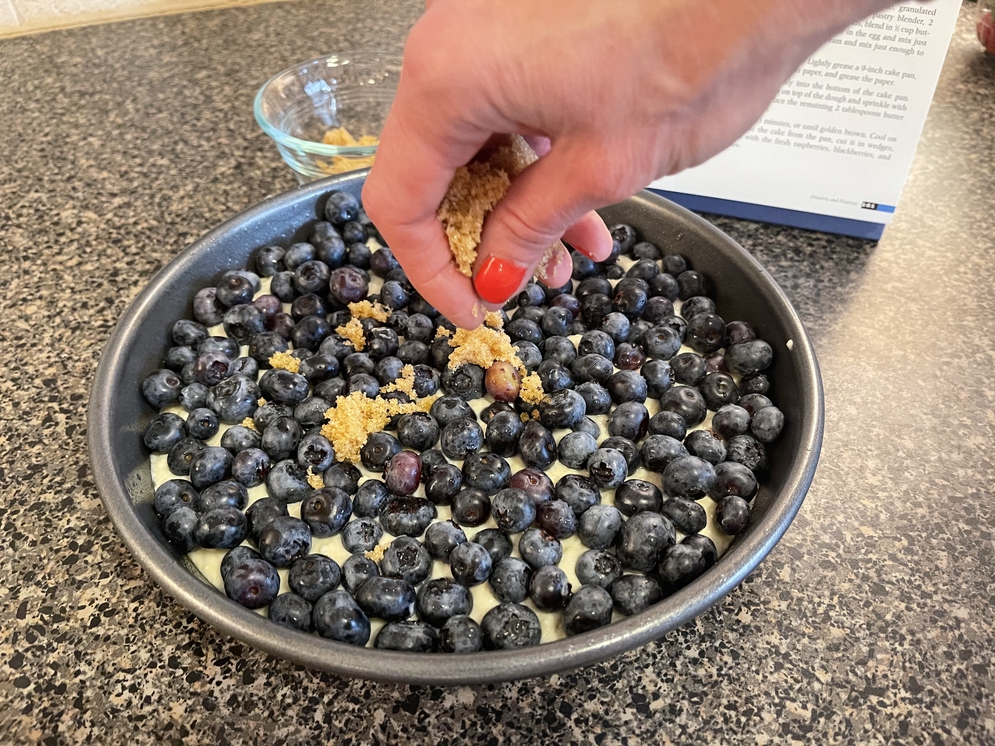 brown sugar on cobbler – WDWINFO.COM Saturday Snacks: Let’s Get Ready for Summer with Artist Point’s Berry Cobbler! brown sugar on cobbler