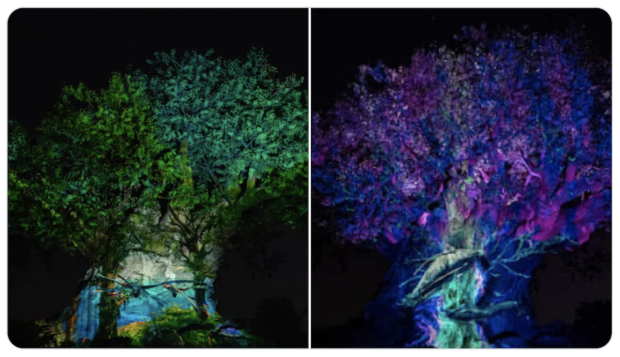 New Avatar-Inspired Nighttime Experience in Animal Kingdom Avatar