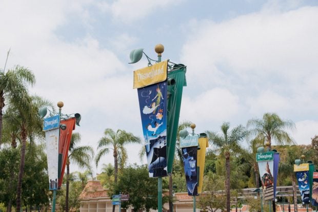 Man Reportedly Jumps to Death From Disneyland Parking Structure aubrey-odom-mabey-cQVC1JRYOkg-unsplash