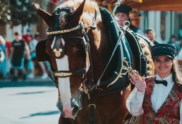 5 Ways to Reignite Your Disney Relationship Spark nicholas-fuentes-GqHFImKEhHo-unsplash Disney Photo by <a href="https://unsplash.com/@nickfuentes_?utm_source=unsplash&utm_medium=referral&utm_content=creditCopyText">Nicholas Fuentes</a> on <a href="https://unsplash.com/photos/GqHFImKEhHo?utm_source=unsplash&utm_medium=referral&utm_content=creditCopyText">Unsplash</a>